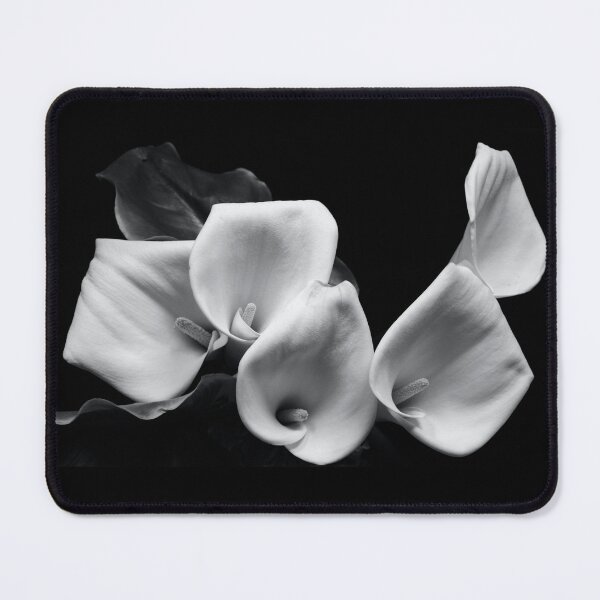 Item preview, coves designed and sold by iago rodriguez dopico.
