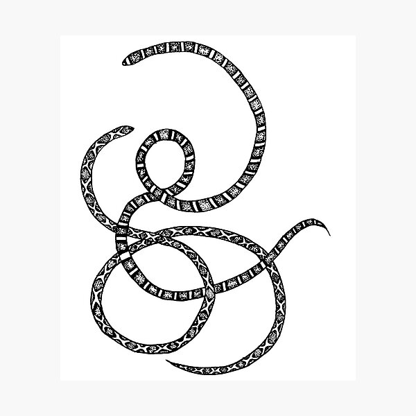 gucci snake print
