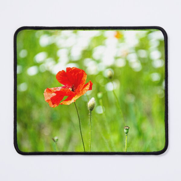 Item preview, Red Poppy Flower Photography designed and sold by Inspirely.