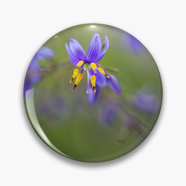 Item preview, Flax Butterfly Iris designed and sold by Joy Watson - Natural Light Photography .