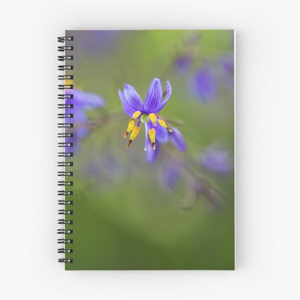 Item preview, Flax Butterfly Iris designed and sold by Joy Watson - Natural Light Photography .