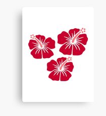 Red hibiscus flowers Canvas Print