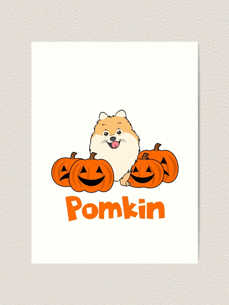 pomeranian pumpkin