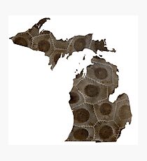 Michigan Petoskey Stone Photographic Print