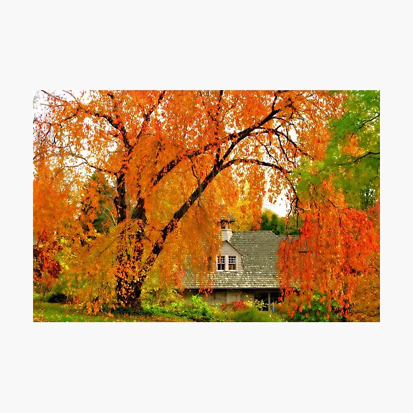 Item preview, Golden Autumn designed and sold by vadim19.
