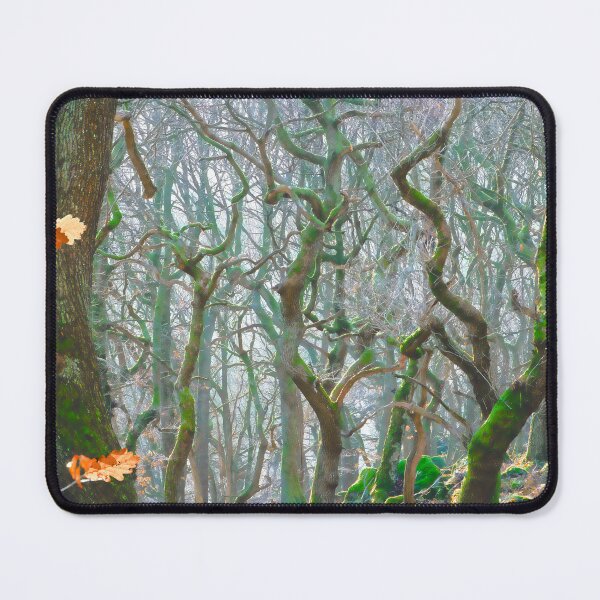 Item preview, Misty Woodland At Padley Gorge designed and sold by Alisonchambers2.
