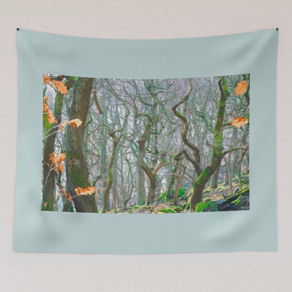 Artikelvorschau, Nebliges Waldland bei Padley Gorge entworfen und verkauft von Alisonchambers2.