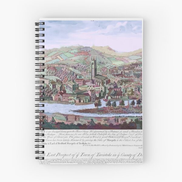 Item preview, "The South East Prospect of ye Town of Tavistoke in ye County of Devon. " designed and sold by Malcolm Walker.