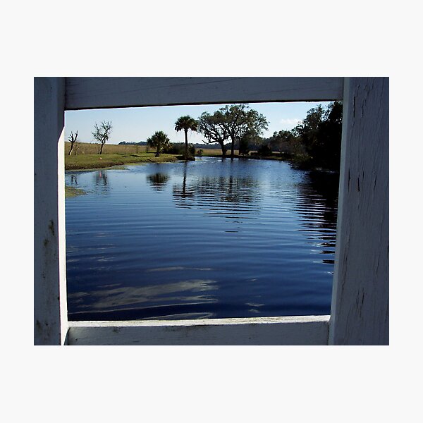 Item preview, framed pond designed and sold by dannielle.