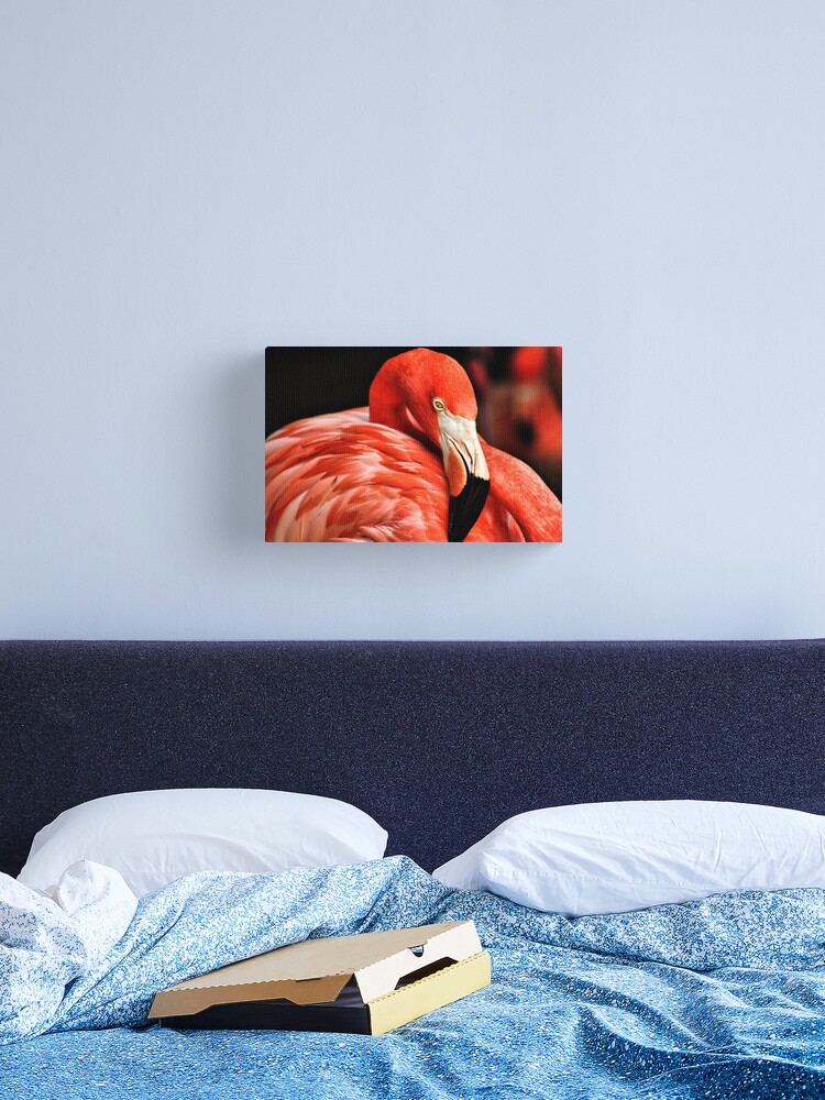 Thumbnail 2 of 3, Canvas Print, Flamingo II designed and sold by idnurse41.
