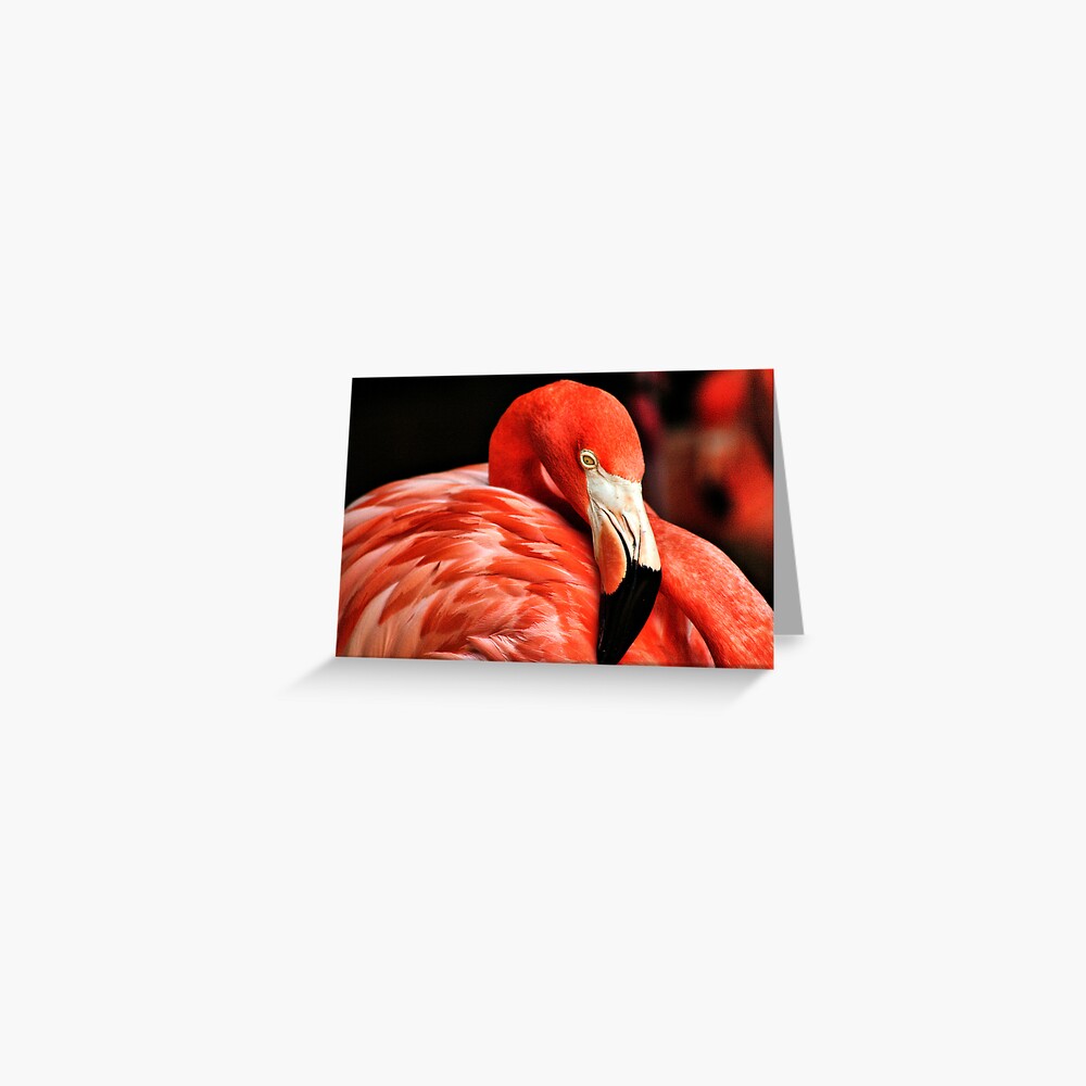 Item preview, Greeting Card designed and sold by idnurse41.