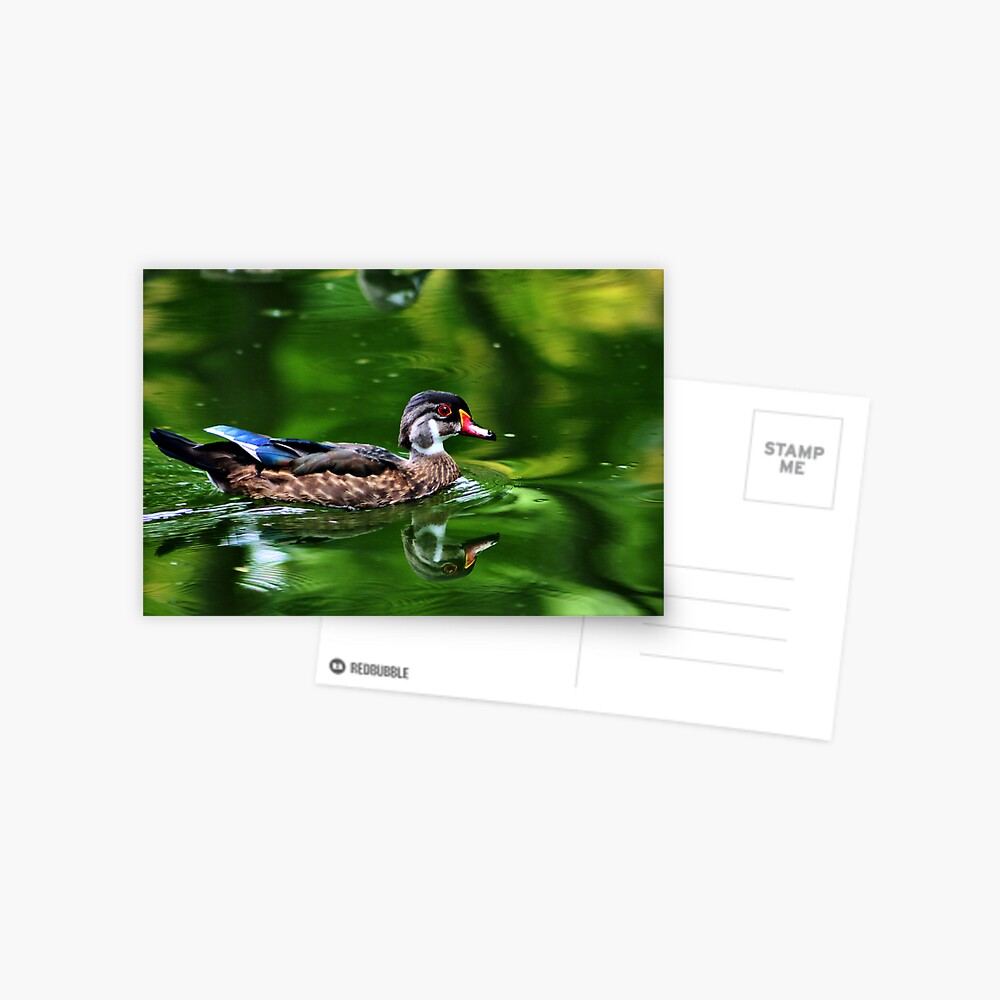 Item preview, Postcard designed and sold by idnurse41.
