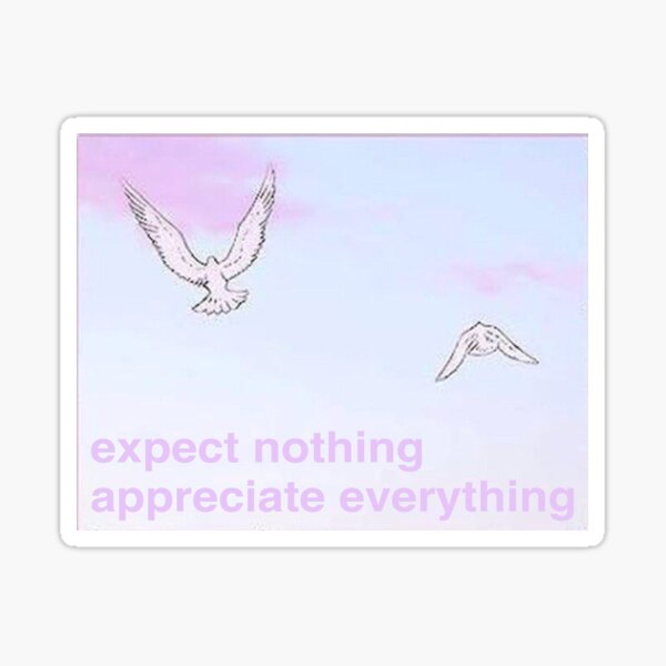 expect nothing appreciate everything Sticker