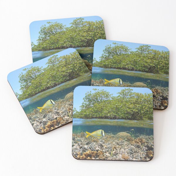 Item preview, Mangrove in the sea with coral reef underwater Caribbean sea designed and sold by Seaphotoart.