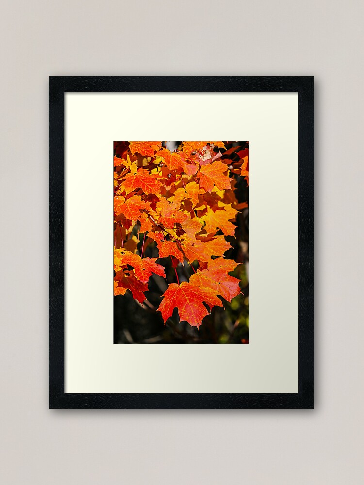 Alternate view of Leaves Extravaganza Framed Art Print