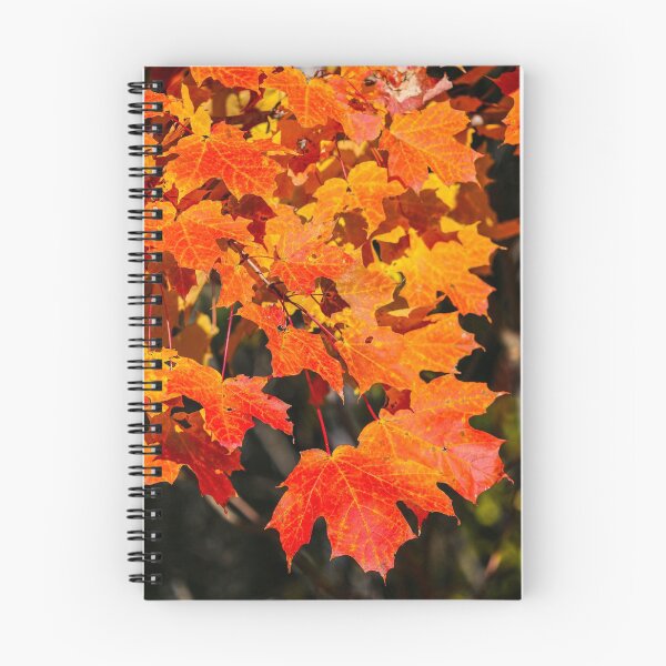 Item preview, Leaves Extravaganza designed and sold by debfaraday.