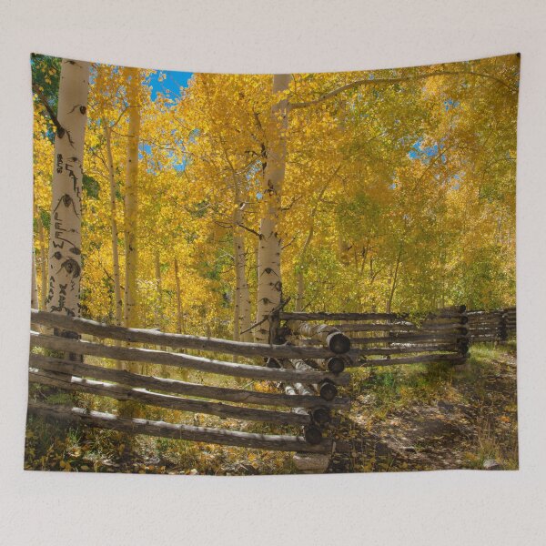 Item preview, Aspen Autumn Color - I, Southern Utah designed and sold by AlsknMommaBear2.