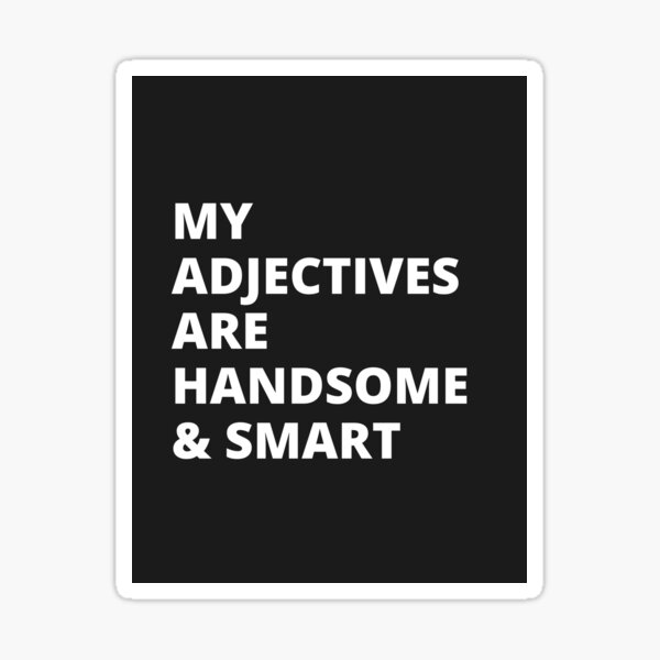 use each of the following adjectives in a sentence handsome