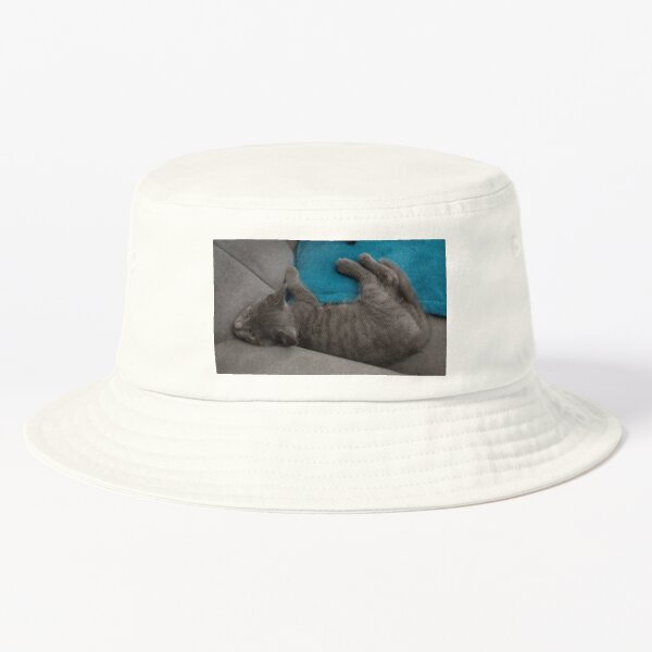 M.I. #264 |☼| Mimi - Shot 1 (Cats) Bucket Hat
