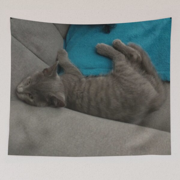 Item preview, #264 |☼| Mimi In A Peculiar Position (Cats) designed and sold by Naean H.F. (Nez Man).