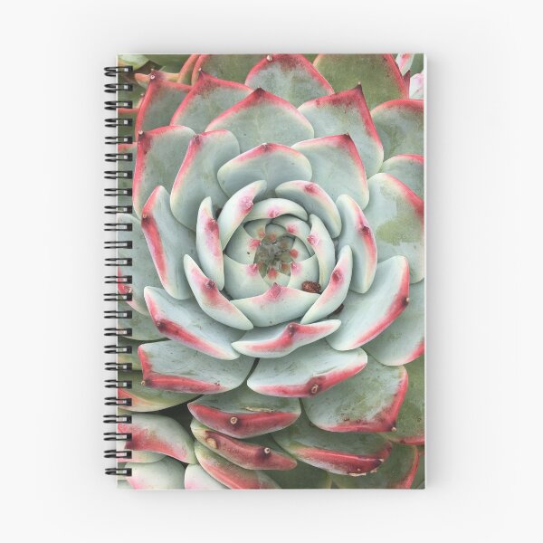 Item preview, Succulent 2 designed and sold by SlothyShaw.
