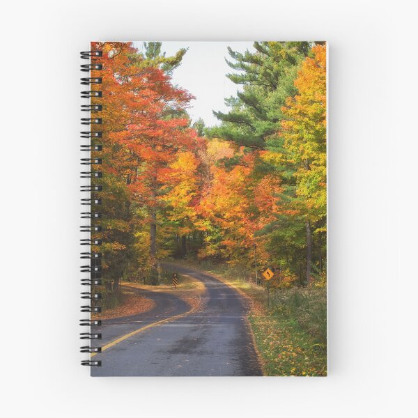 Item preview, Autumn Colours 5 - MacKenzie-King Estate designed and sold by Yannik Hay.