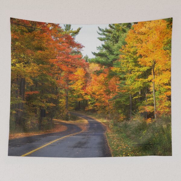 Item preview, Autumn Colours 5 - MacKenzie-King Estate designed and sold by Yannik Hay.