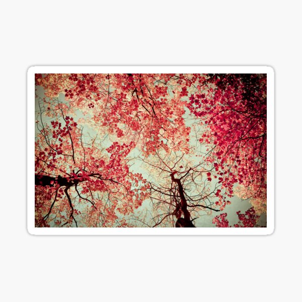 Autumn Reds Sticker