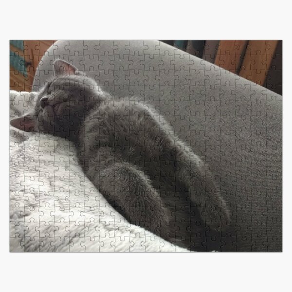 M.I. #265 |☼| Mimi - Shot 2 (Cats) Jigsaw Puzzle