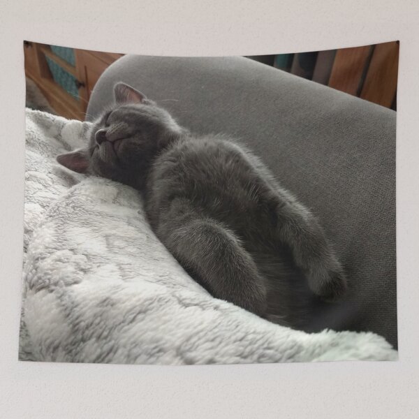 Item preview, #265 |☼| Cat Nappin' - Mimi (Cats) designed and sold by Naean H.F. (Nez Man).