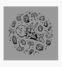 Triceratops Rocks! | Black Photographic Print