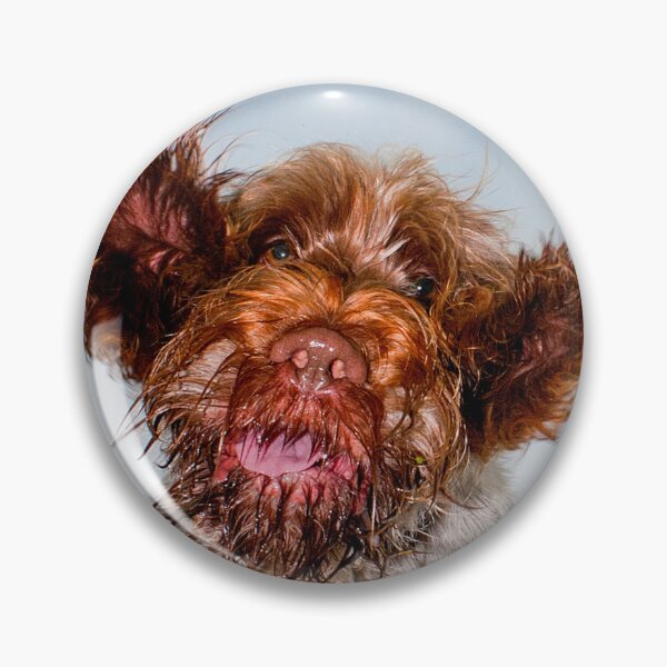 Item preview, Hello down there! Spinone by heidiannemorris designed and sold by FOLK ART FUSION by heidiannemorris.