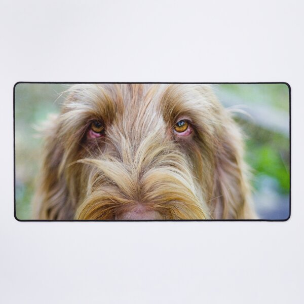 Item preview, Super cute Spinone designed and sold by FOLK ART FUSION by heidiannemorris.