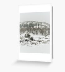 Snowing Forest Greeting Card