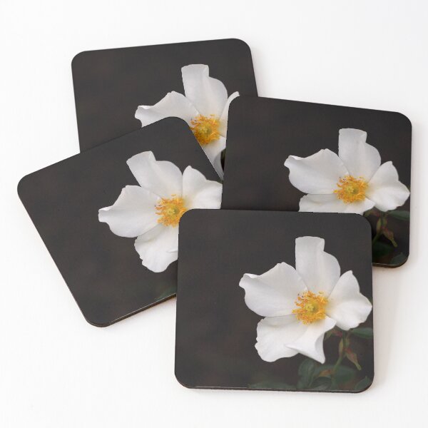 California Winter Rose Coasters (Set of 4)