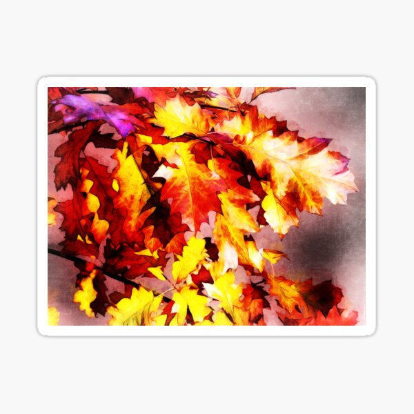 Item preview, Copy of Autumn Colors In The Oak Tree designed and sold by Finding Fortuity.