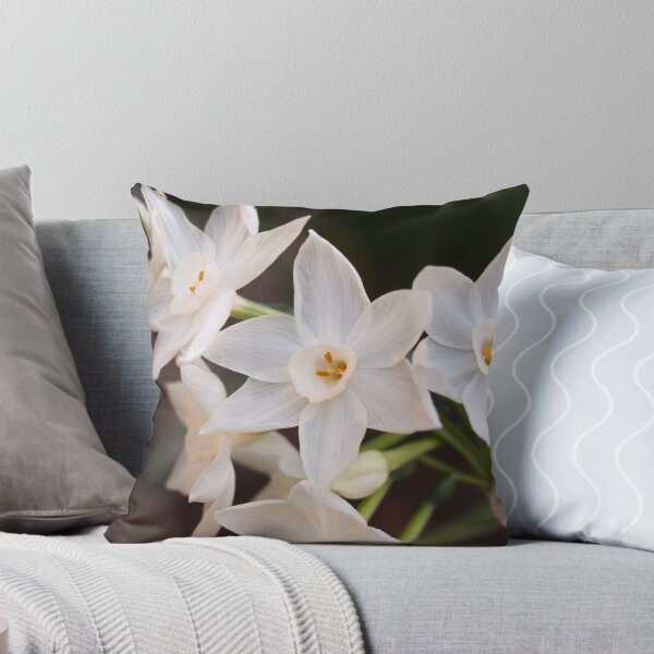 Item preview, Paperwhites 2015 designed and sold by Douglas E. Welch Design and Photography.