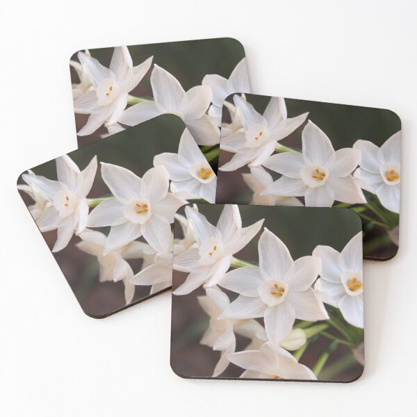Item preview, Paperwhites 2015 designed and sold by Douglas E. Welch Design and Photography.
