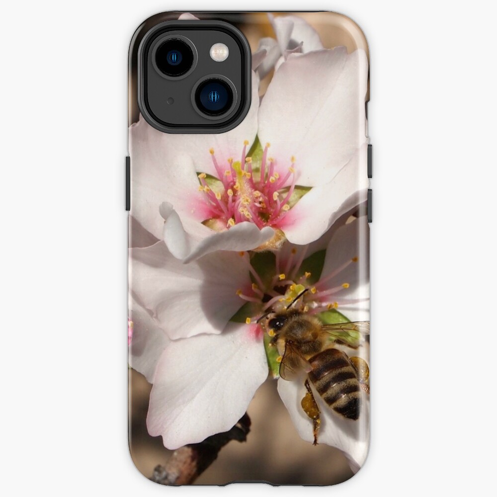 Bee on Apricot Blossom iPhone Case