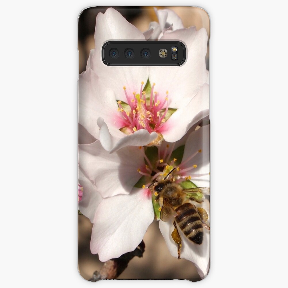 Bee on Apricot Blossom Case & Skin for Samsung Galaxy