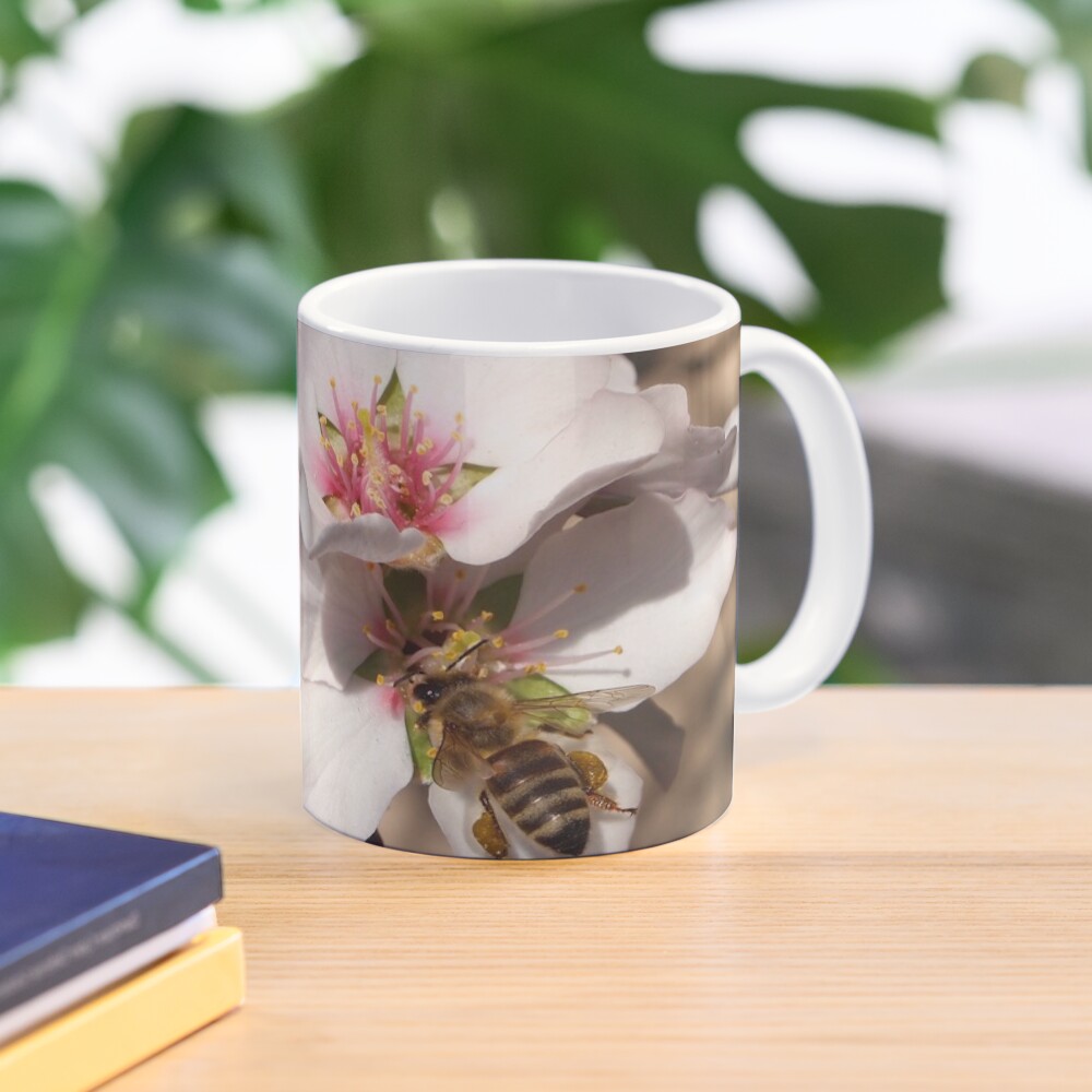 Bee on Apricot Blossom Coffee Mug