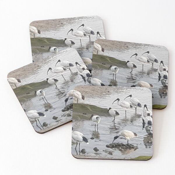 Item preview, Ibis on Water designed and sold by RROW123.