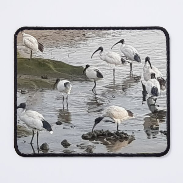 Item preview, Ibis on Water designed and sold by RROW123.