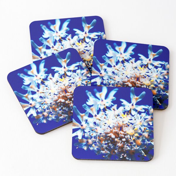 Item preview, Queen Anne's Lace designed and sold by FOLK ART FUSION by heidiannemorris.