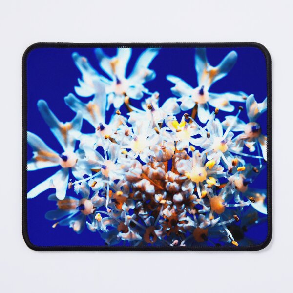 Item preview, Queen Anne's Lace designed and sold by FOLK ART FUSION.