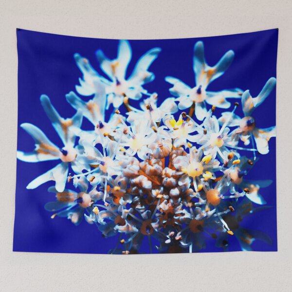 Item preview, Queen Anne's Lace designed and sold by FOLK ART FUSION by heidiannemorris.