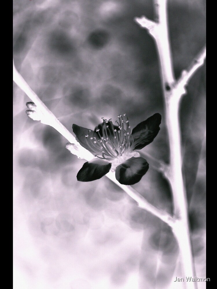 Thumbnail 7 of 7, Oversized T-Shirt, Life on the Other Side designed and sold by Jdubphotog.
