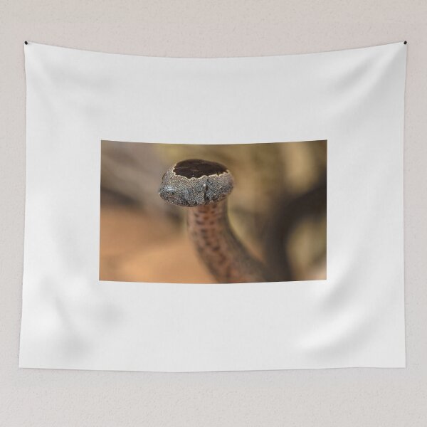 Item preview, Golden Crown Snake designed and sold by Normf.