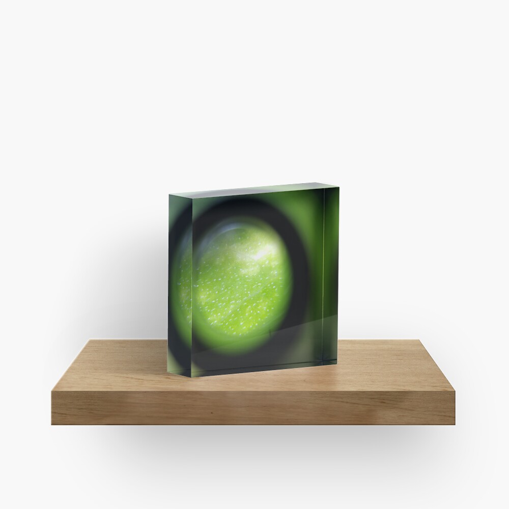 Item preview, Acrylic Block designed and sold by kinkatstyle.