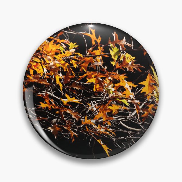 Item preview, Maple (Acer ), colorful autumn leaves on a tree, Germany designed and sold by Torsten  Krüger.